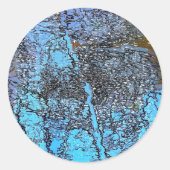 水 ラウンドシール (正面)