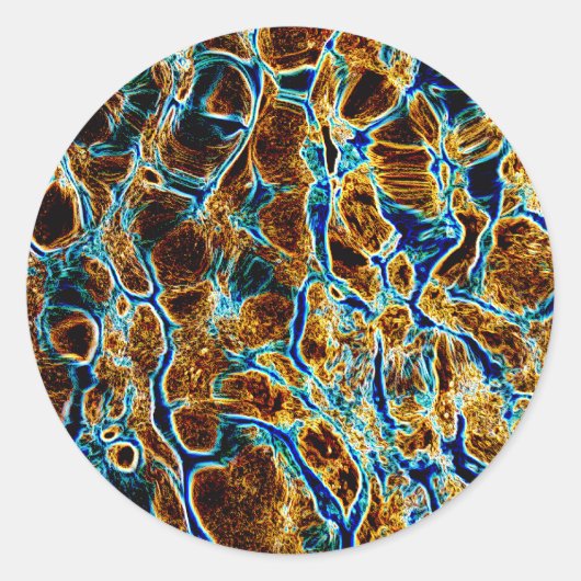 水 ラウンドシール (正面)