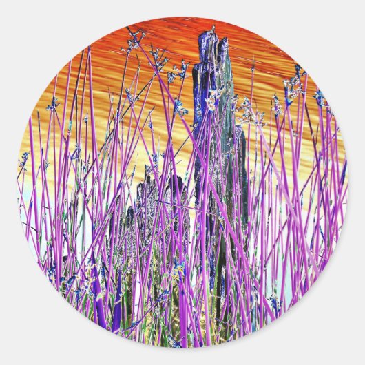 水 ラウンドシール (正面)