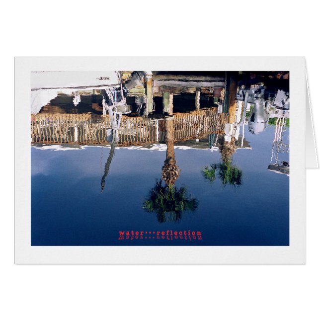 水…反射 (正面横)