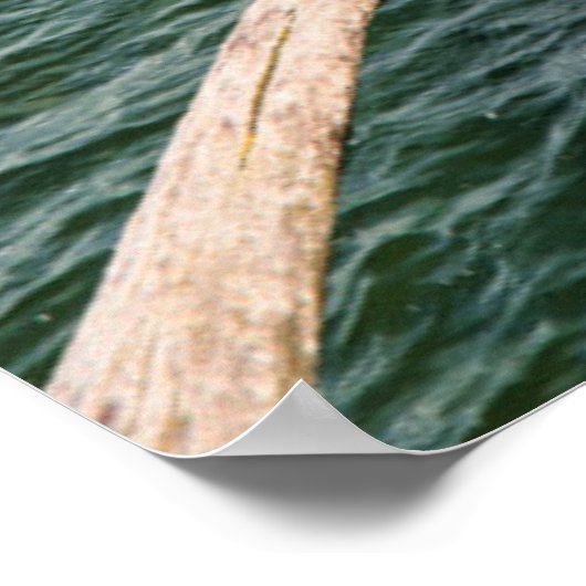 水 |水の上に家を建てる ポスター (角)