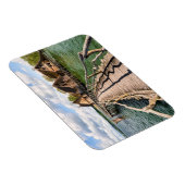 水 |水の上に家を建てる マグネット (右側)