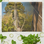 水 湖のアディロンドラック椅子 キッチンタオル (折り畳み)