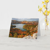 水 | Killarney Provincial Park Canada カード (黄色い花)