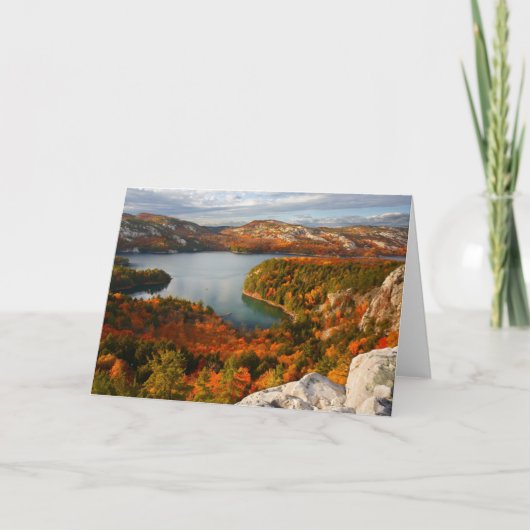 水 | Killarney Provincial Park Canada カード (正面)