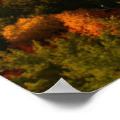 水 | Killarney Provincial Park Canada ポスター (角)