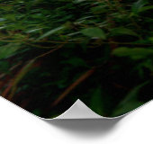 水 | Kraft Azalea Park Maitland Florida ポスター (角)