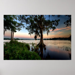 水   Kraft Azalea Park Maitland Florida ポスター