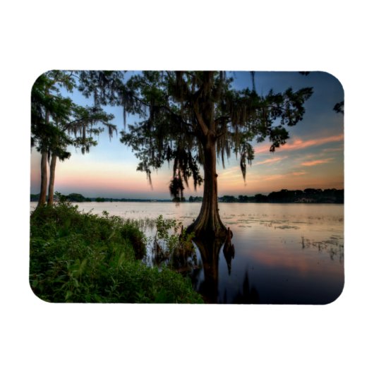 水 | Kraft Azalea Park Maitland Florida マグネット (横)