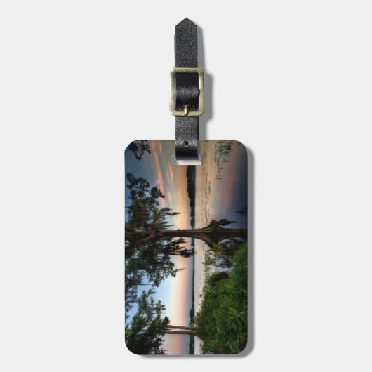 水 | Kraft Azalea Park Maitland Florida ラゲッジタグ (正面縦)