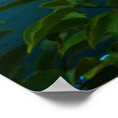 水 San Benedetto Church Lake Garda，イタリア ポスター (角)