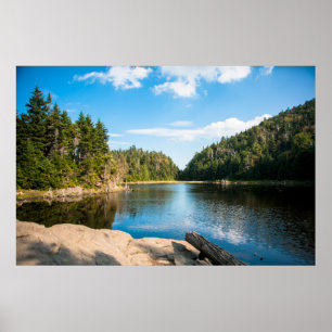 水 Spruce Lake Quebec （カナダ） ポスター