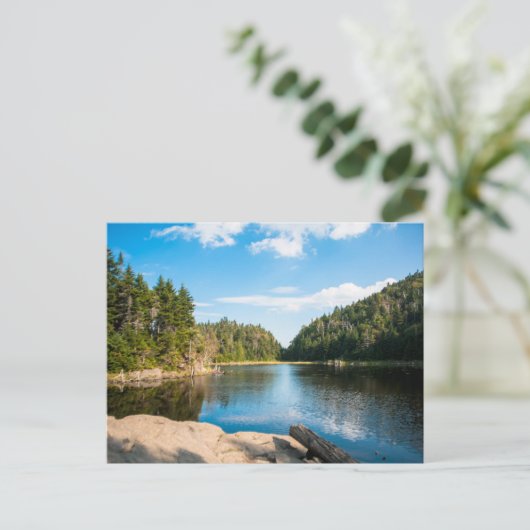 水 Spruce Lake Quebec (カナダ) ポストカード (スタンド正面)