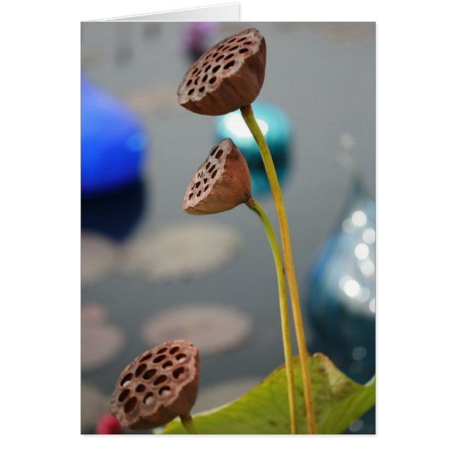 水flowers2空白のなカード (正面)