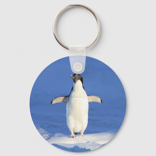 氷おもしろい写真のペンギン キーホルダー (正面)