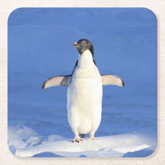 氷おもしろい写真のペンギン スクエアペーパーコースター (正面)