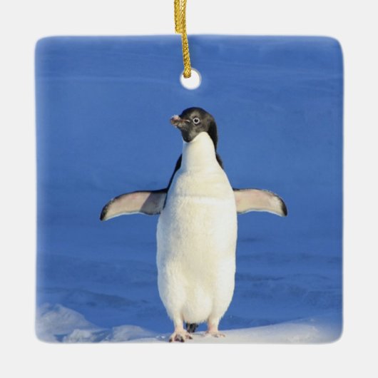 氷おもしろい写真のペンギン セラミックオーナメント (正面)