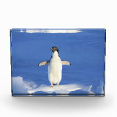 氷おもしろい写真のペンギン フォトブロック (正面)