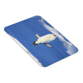 氷おもしろい写真のペンギン マグネット (右側)