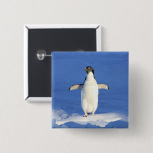 氷おもしろい写真のペンギン 缶バッジ