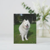 氷くま… ポストカード (スタンド正面)