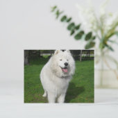 氷くま… ポストカード (スタンド正面)