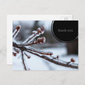 氷ったツリーブランチは感謝していしています ポストカード (正面/裏面)