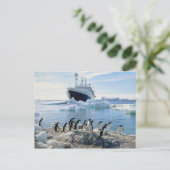 氷ったビーチに立っているペンギンのグループ ポストカード (スタンド正面)