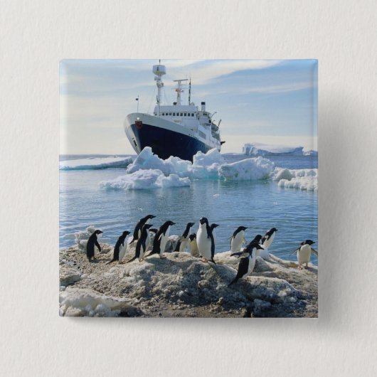 氷ったビーチに立っているペンギンのグループ 缶バッジ (正面)