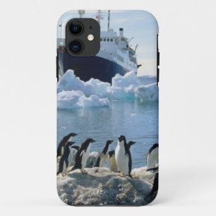 氷ったビーチに立っているペンギンのグループ iPhone 11 ケース