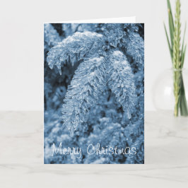 氷ったマツメリークリスマスカード シーズンカード