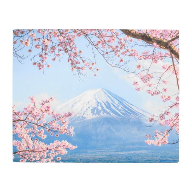 氷と雪 |さくらんぼの花々富士山ジャパン メタルプリント (正面)