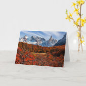 氷と雪 |アルゼンチンパタゴニア,エルカルテン カード (黄色い花)