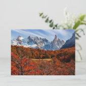 氷と雪 |アルゼンチンパタゴニア，エルカルテン サンキューカード (スタンド正面)