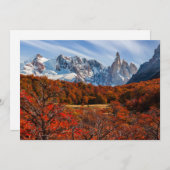 氷と雪 |アルゼンチンパタゴニア，エルカルテン サンキューカード (正面/裏面)