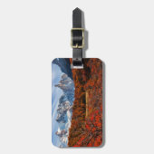 氷と雪 |アルゼンチンパタゴニア，エルカルテン ラゲッジタグ (正面縦)