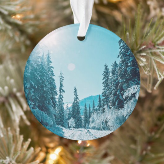 氷と雪 |アルタイ自然保護区（ロシア） オーナメント (ツリー)