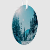 氷と雪 |アルタイ自然保護区（ロシア） オーナメント (正面)