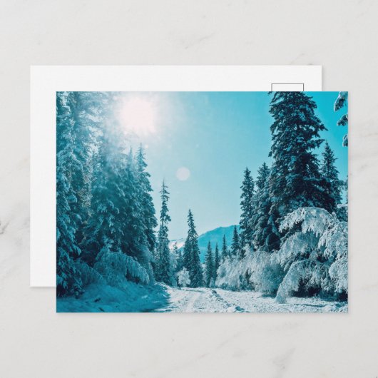 氷と雪 |アルタイ自然保護区(ロシア) ポストカード (正面/裏面)