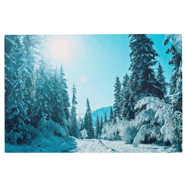 氷と雪 |アルタイ自然保護区（ロシア） メタルプリント (正面)