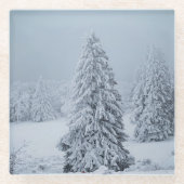 氷と雪 |ウッドランド、スイスアルプス ガラスコースター (正面)