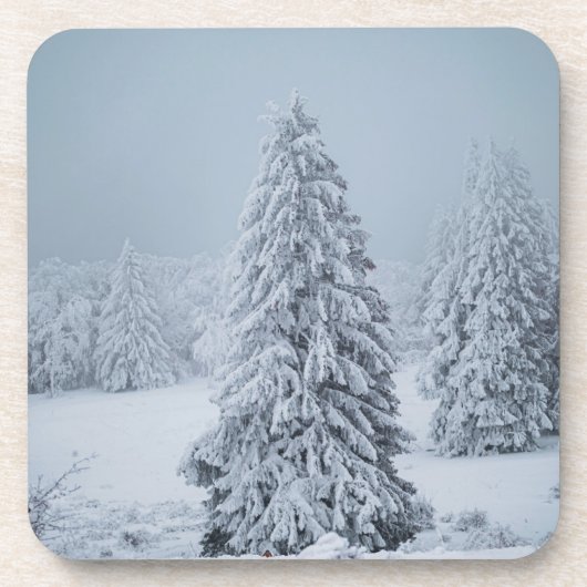 氷と雪 |ウッドランド、スイスアルプス コースター (正面)