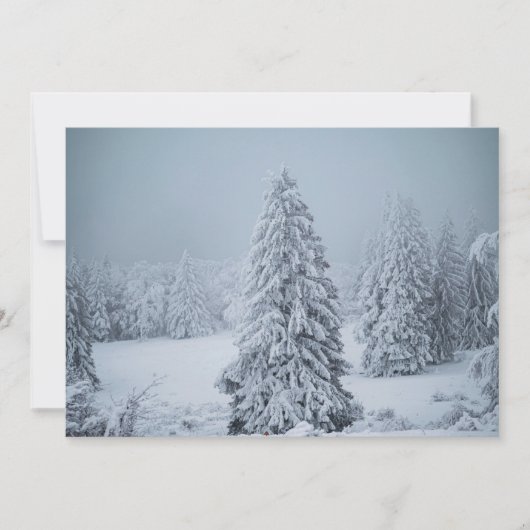 氷と雪 |ウッドランド、スイスアルプス サンキューカード (正面)