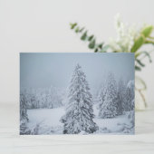 氷と雪 |ウッドランド、スイスアルプス サンキューカード (スタンド正面)