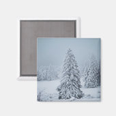 氷と雪 |ウッドランド、スイスアルプス マグネット (正面/裏面)