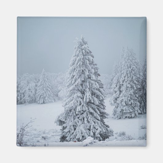 氷と雪 |ウッドランド、スイスアルプス マグネット (正面)