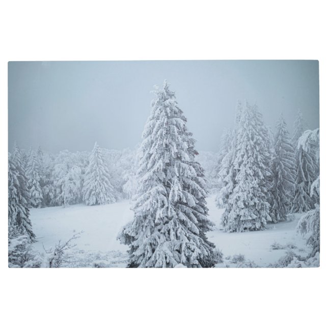 氷と雪 |ウッドランド、スイスアルプス メタルプリント (正面)