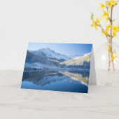 氷と雪 |コロラド州，シルバートン カード (黄色い花)