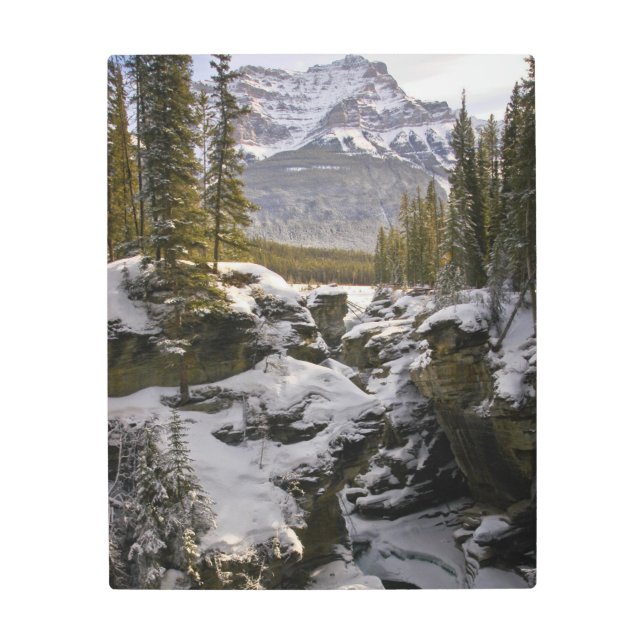 氷と雪 |ジャスパー国立公園アルバータ，カナダ メタルプリント (正面)