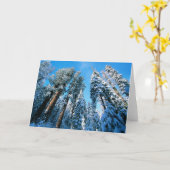 氷と雪 |セコイア国立公園，カリフォルニア カード (黄色い花)